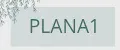 PLANA1