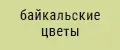 байкальские цветы