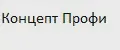 Концепт Профи