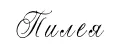 Пилея