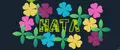 нат