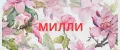 МИЛЛИ