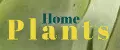 Home Plants