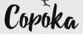 Сорока Премиум бижутерия