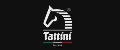 Tattini Srl