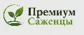 Премиум Саженцы