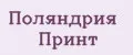 Поляндрия Принт