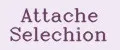 Attache Selechion