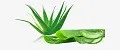 Алоэ Вера