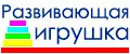 Развивающая игрушка
