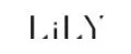 LiLY Store