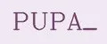 PUPA_
