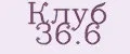 Клуб 36.6
