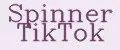 Spinner TikTok