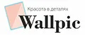 Wallpic