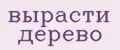 вырасти дерево