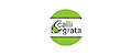 Calligrata.