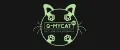 My Cat