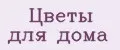Цветы для дома