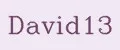 David13