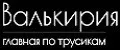 ВалькИриЯ