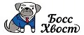 Босс Хвост