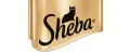 sheba