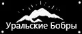 Уральские бобры