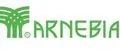 Арнебия