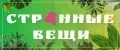 Аналитика бренда Странные вещи на Wildberries