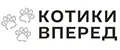 Котики вперед