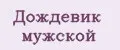 Дождевик мужской