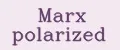 Marx polarized