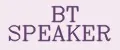 BT SPEAKER