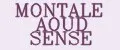 MONTALE AOUD SENSE
