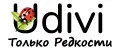 Udivi