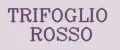 TRIFOGLIO ROSSO