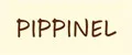Pippinel