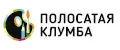 Полосатая клумба