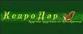 Кедродар