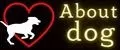 About dog
