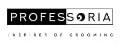Professoria