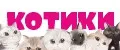 КОТИКИ
