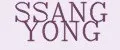SSANG YONG