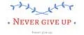 NEVER GIVE UP
