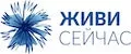 Живи сейчас