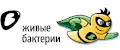 Живые Бактерии/Средство для прочистки труб Макзим