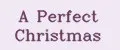 A Perfect Christmas