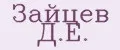 Зайцев Д.Е.