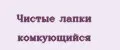 Чистые лапки комкующийся